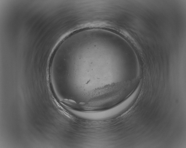 X0000052641232200507011338