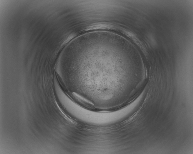 X0000052641233200507011338