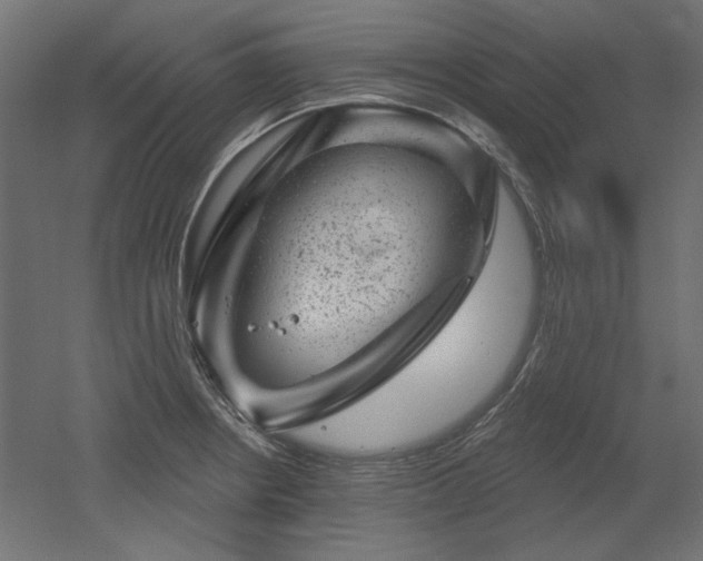 X0000052641234200507011338