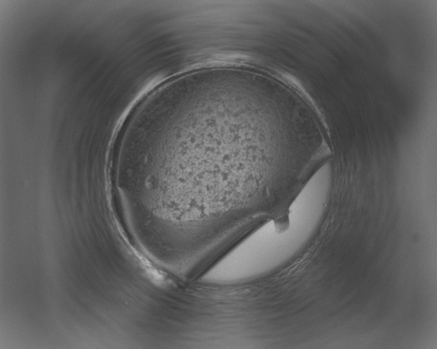 X0000052641235200507011338