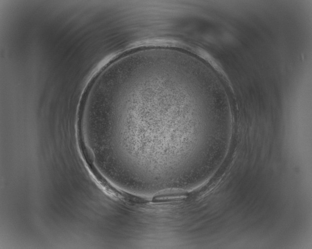 X0000052641237200507011338