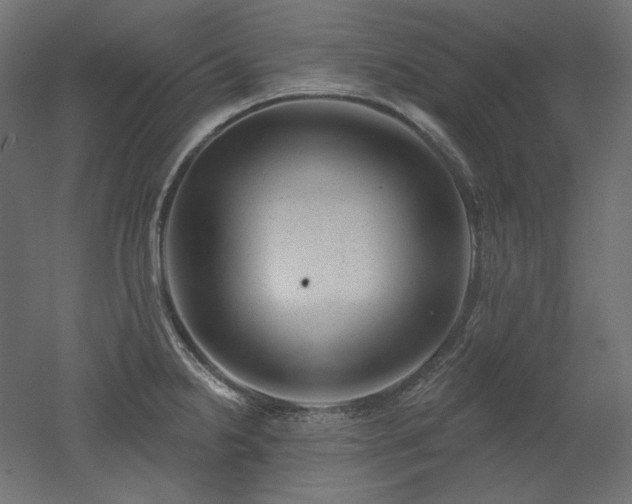 X0000052641238200507011338