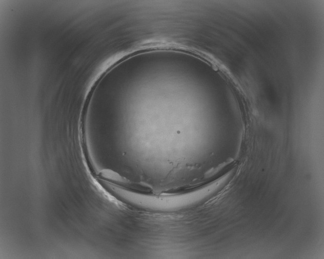 X0000052641239200507011338