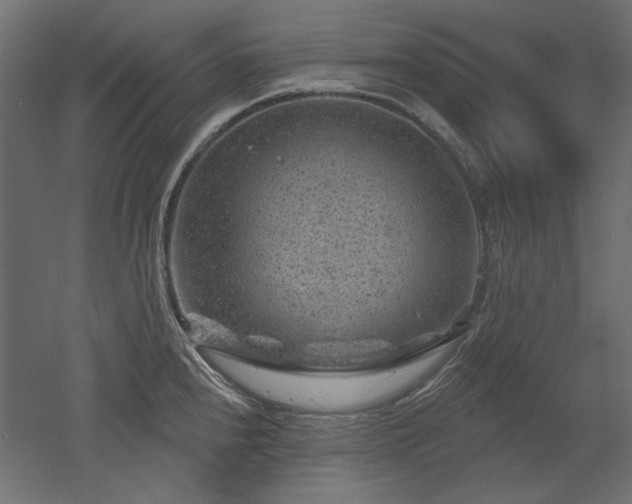 X0000052641240200507011338