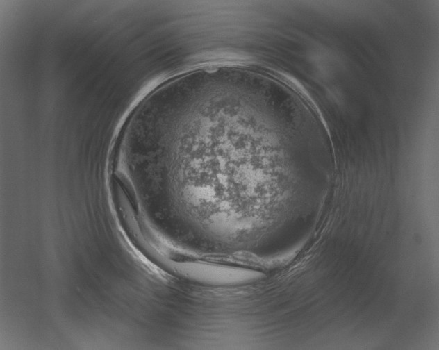 X0000052641243200507011338