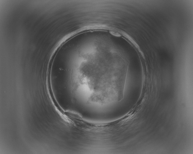 X0000052641245200507011338