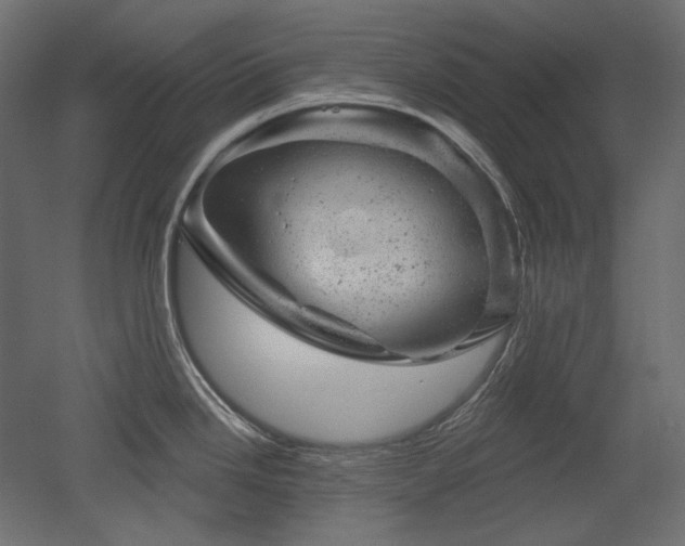 X0000052641246200507011338