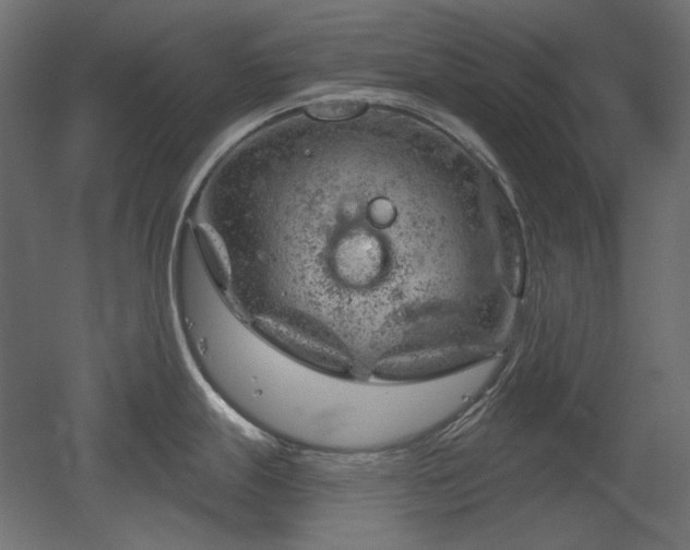 X0000052641247200507011338