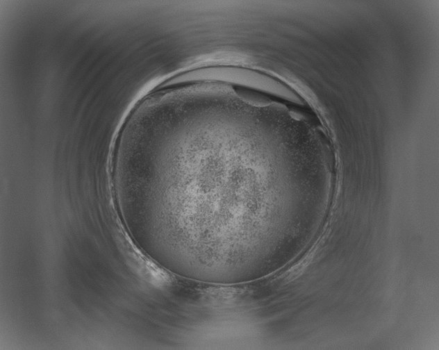 X0000052641248200507011338