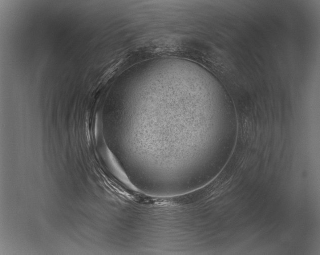 X0000052641250200507011337