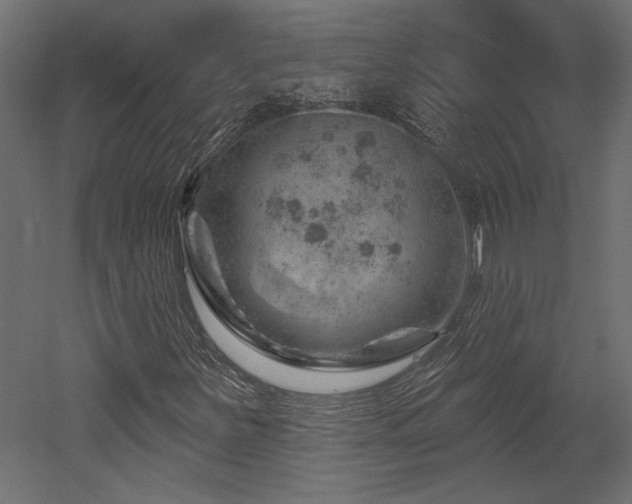 X0000052641251200507011337