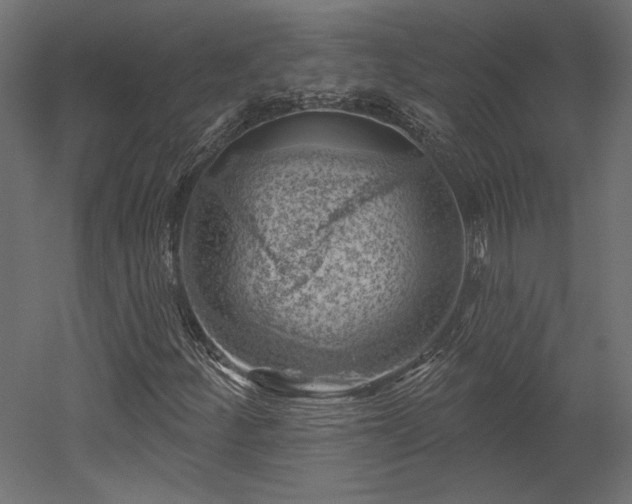 X0000052641252200507011337