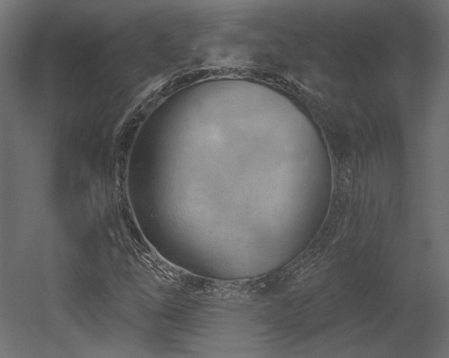 X0000052641254200507011337