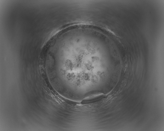 X0000052641255200507011337