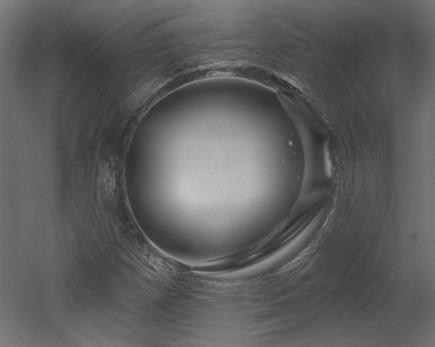 X0000052641257200507011337