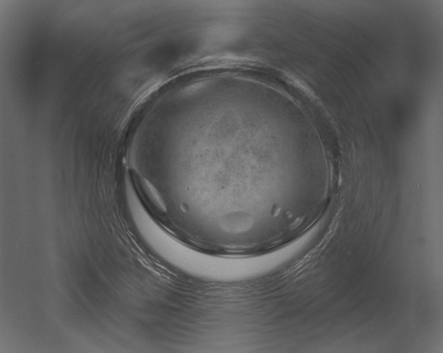 X0000052641259200507011337