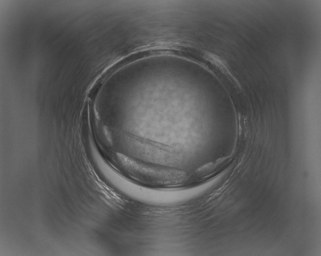 X0000052641260200507011337