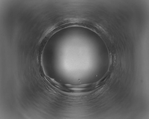 X0000052641261200507011337