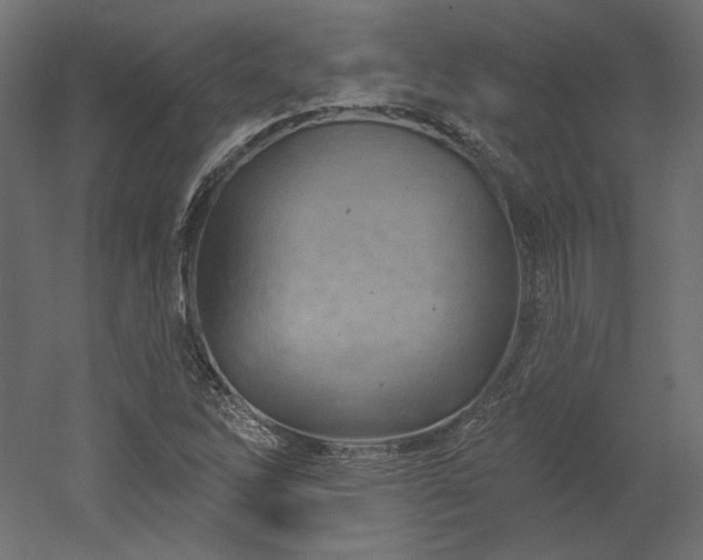 X0000052641262200507011337