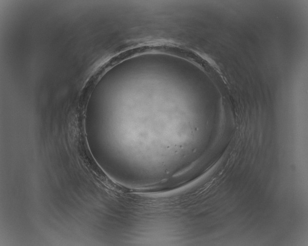 X0000052641263200507011337