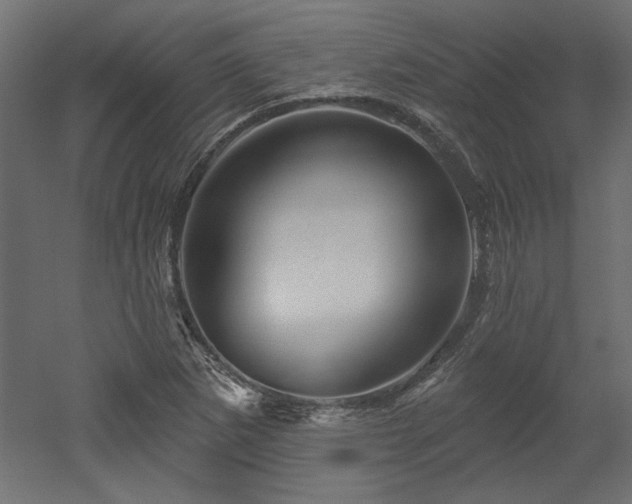 X0000052641265200507011337