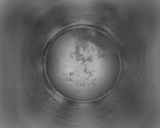 X0000052641266200507011337