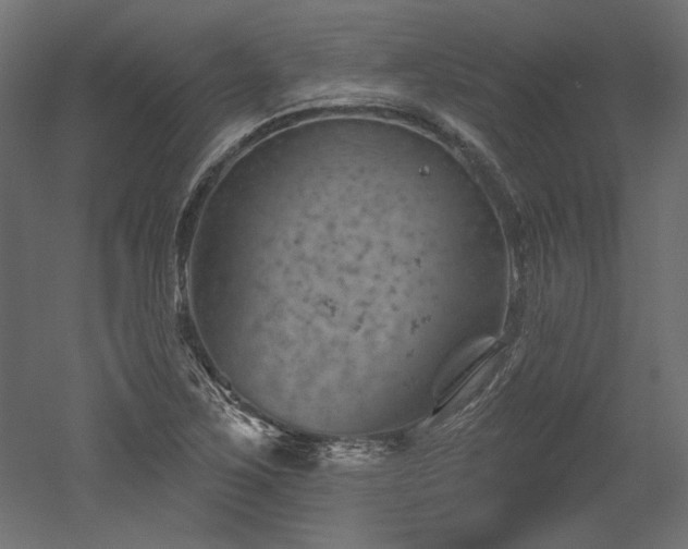 X0000052641267200507011337