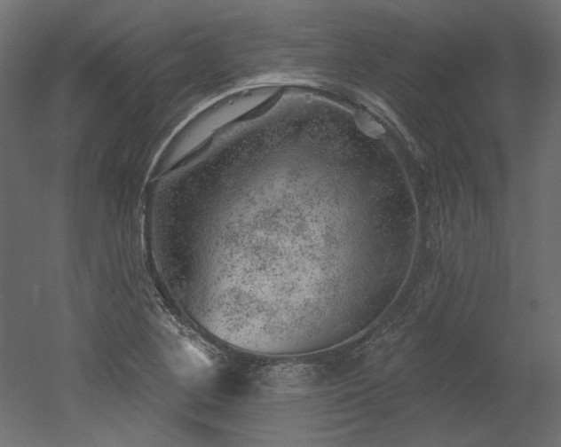 X0000052641268200507011337