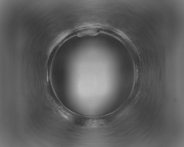 X0000052641269200507011337