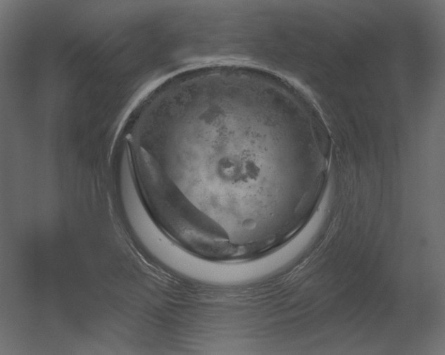 X0000052641271200507011337