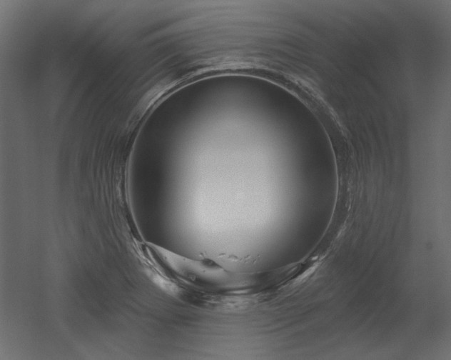 X0000052641273200507011337