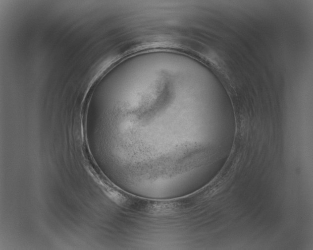 X0000052641274200507011337