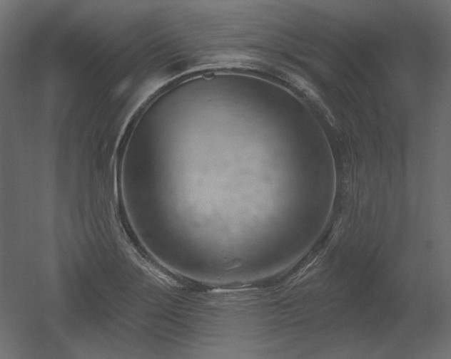 X0000052641275200507011337