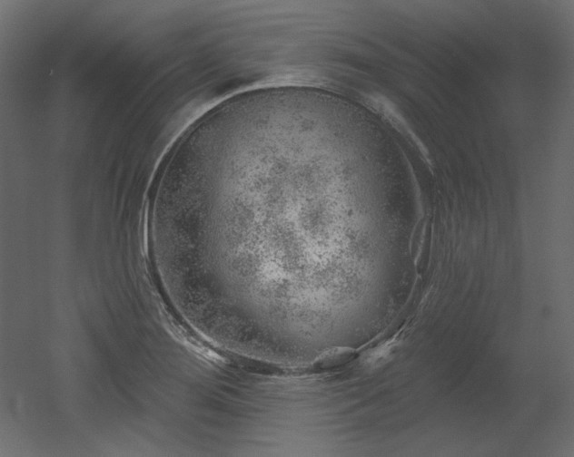 X0000052641276200507011337