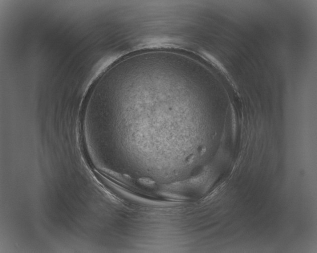 X0000052641277200507011337