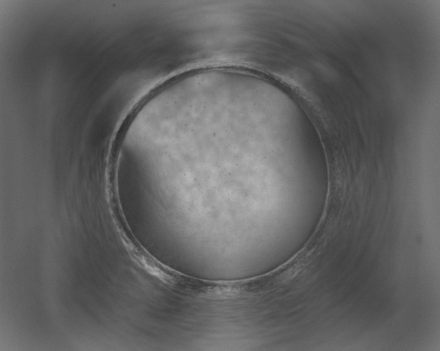 X0000052641278200507011337