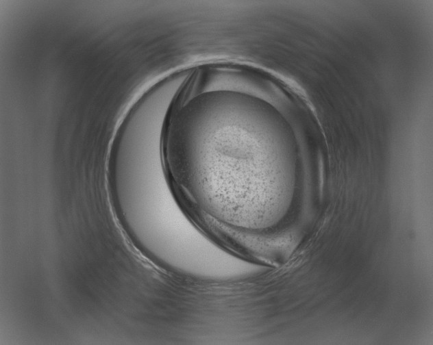 X0000052641279200507011336