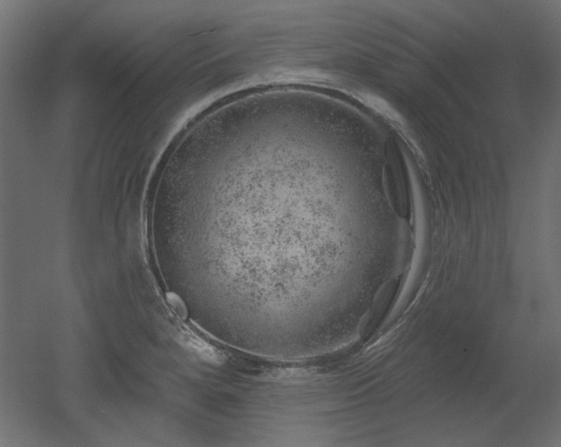 X0000052641280200507011336