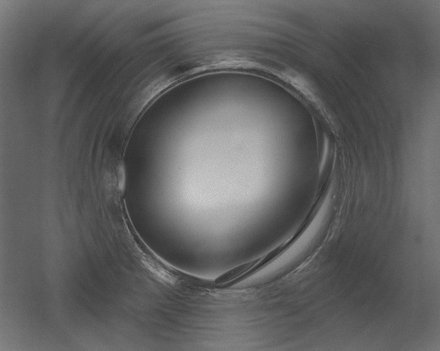 X0000052641281200507011336