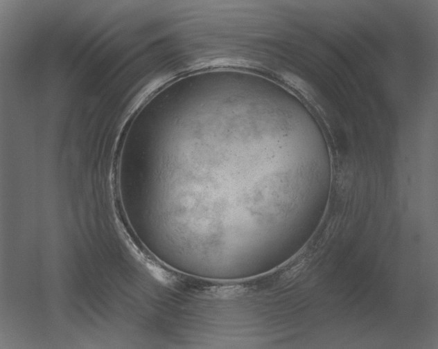 X0000052641282200507011336