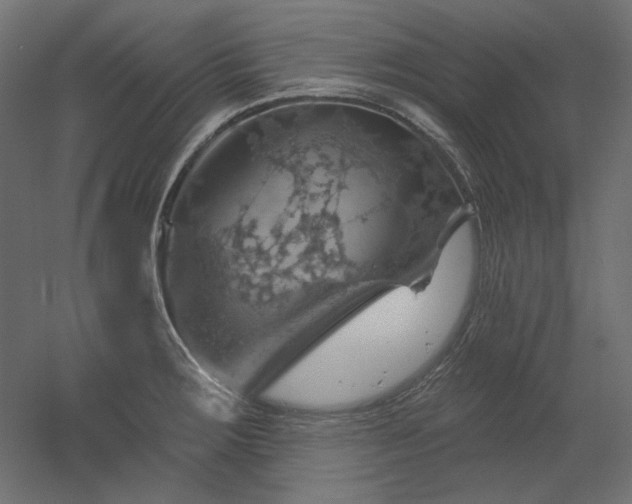 X0000052641283200507011336