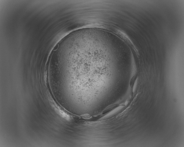 X0000052641284200507011336