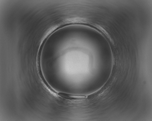 X0000052641285200507011336