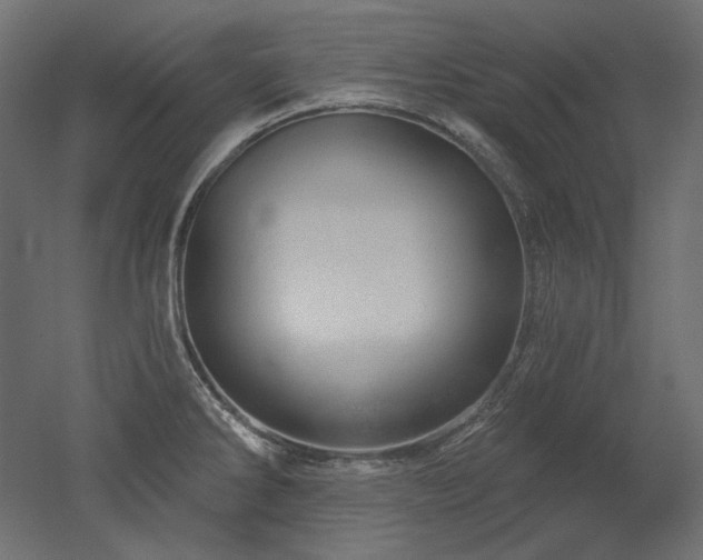 X0000052641286200507011336