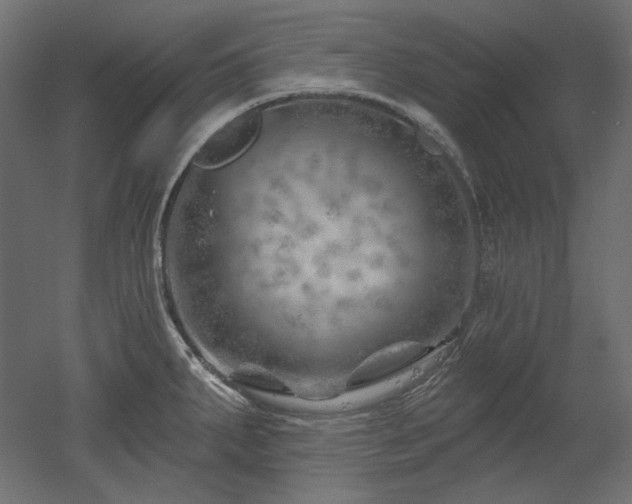 X0000052641287200507011336