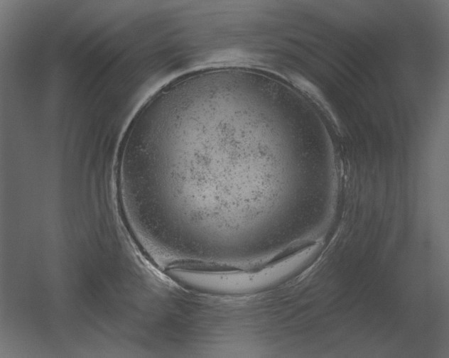 X0000052641288200507011336