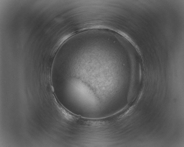 X0000052641289200507011336