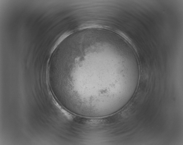 X0000052641290200507011336