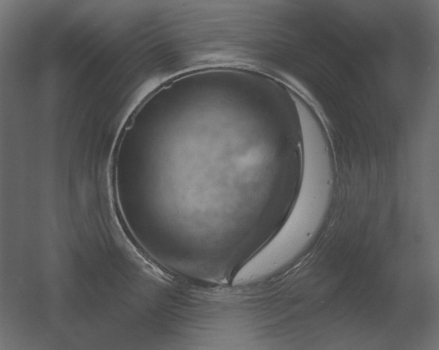 X0000052641291200507011336