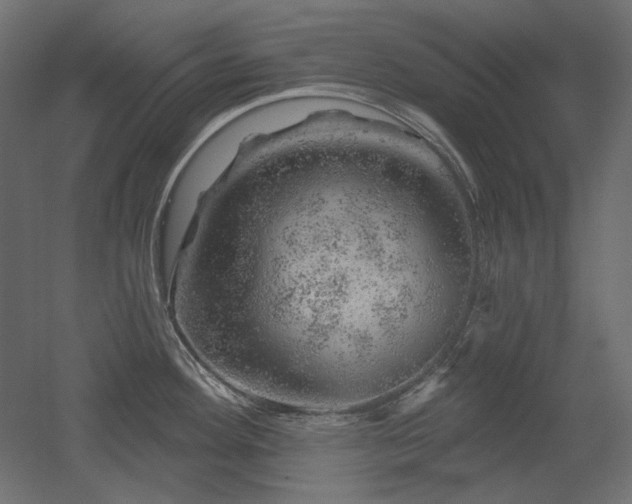 X0000052641292200507011336